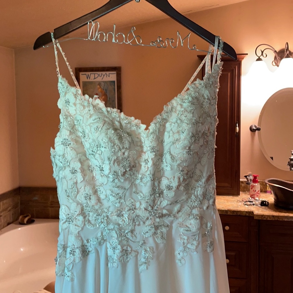 Blush Wedding gown